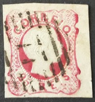 D. Pedro V Cabelos Anelados